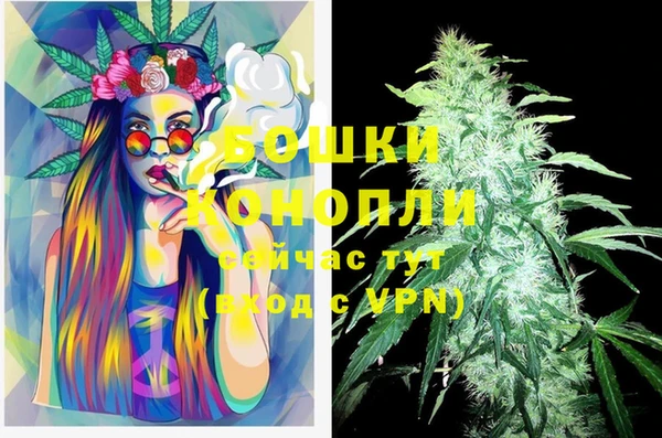 дживик Новокубанск