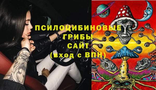 дживик Новокубанск