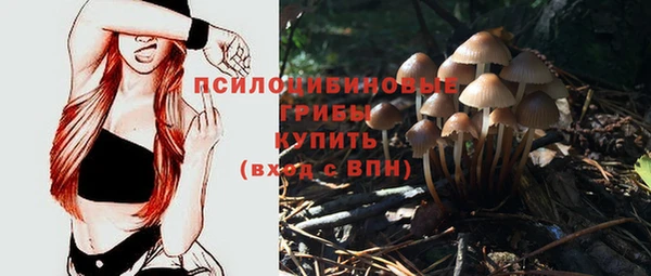 ALPHA-PVP Новозыбков
