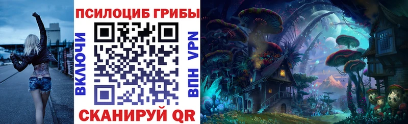 Псилоцибиновые грибы Psilocybe  Туран 
